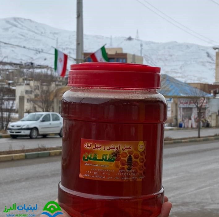 alborz (63)