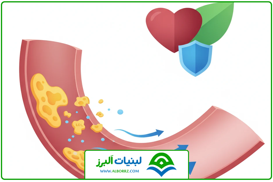 کاهش کلسترول | فواید عسل وحشی