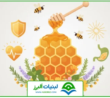 تصویر شاخص | فواید عسل وحشی