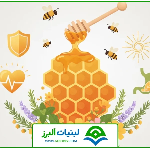 تصویر شاخص | فواید عسل وحشی