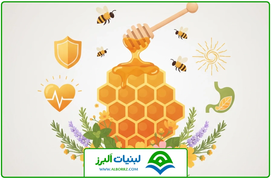 تصویر شاخص | فواید عسل وحشی