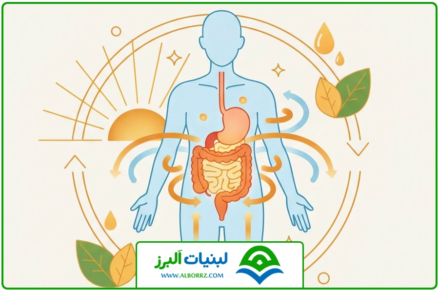 بهترین زمان برای خوردن | فواید عسل وحشی
