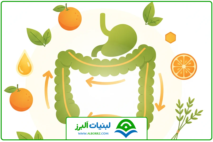 کمک به هضم غذا | فواید عسل وحشی